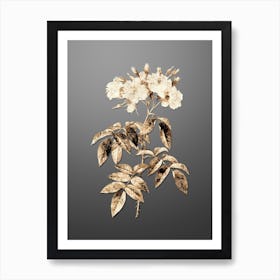 Gold Botanical Musk Rose on Soft Gray n.4290 Art Print