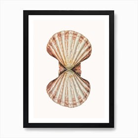 Shell VI Art Print