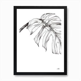Black and White Monsteria Leaf Right Art Print