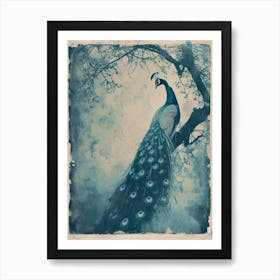 Peacock In A Tree Vintage Cyanotype Inspired 3 Art Print