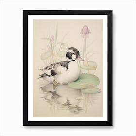 Vintage Bird Drawing Bufflehead 1 Art Print