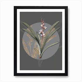 Vintage Botanical Boat Orchid on Circle Gray on Gray n.0086 Art Print