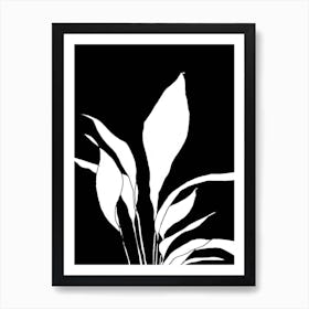 Black And White Plant Art Print