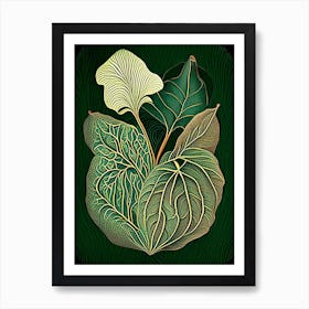 Wild Yam Herb Vintage Botanical Art Print