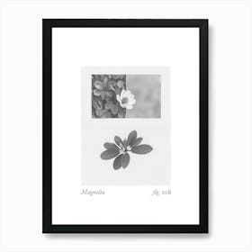 Magnolia Botanical Collage 2 Art Print