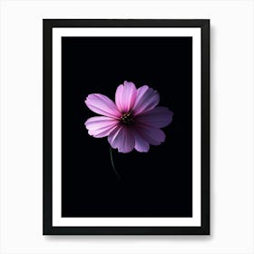 Purple Flower On Black Background 1 Art Print