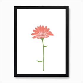 Daisy Flower Art Print