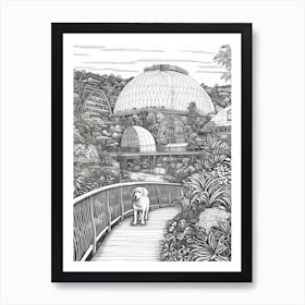 Drawing Of A Dog In Eden Project Gardens, United Kingdom In The Style Of Black And White Colouring Pages Line Art 04 Art Print