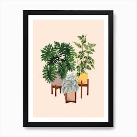 House Plants 16 Art Print