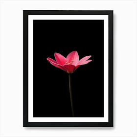 Lotus Flower 23 Art Print