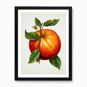 Pomegranate 2 Art Print