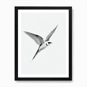Swallow B&W Pencil Drawing 3 Bird Art Print
