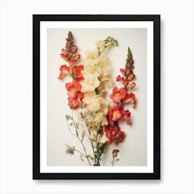 Pressed Flower Botanical Art Snapdragon 4 Art Print