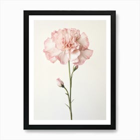 Pressed Flower Botanical Art Carnation 1 Art Print