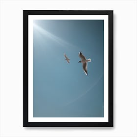 Birds Ii Art Print