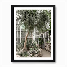 Cactus Garden Art Print