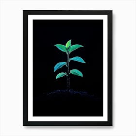 Small Green Plant On Black Background 17 Art Print