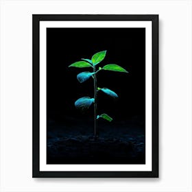 Young Green Plant On Black Background Art Print