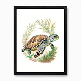 Nesting Sea Turtle, Sea Turtle Vintage 1 Art Print
