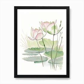 Lotus Flowers In Park Pencil Illustration 5 Art Print