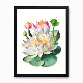 Lotus Flowers In Park Decoupage 9 Art Print