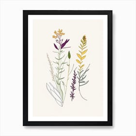 Eyebright Spices And Herbs Minimal Line Drawing 1 Art Print