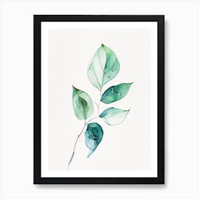 Wintergreen Leaf Minimalist Watercolour 3 Art Print
