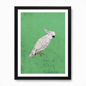 Green Parakeet Art Print