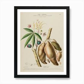 Aphrodisiacae Art Print