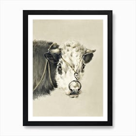 Head Of A Cow, With A Ring Through The Nose, Jean Bernard Art Print