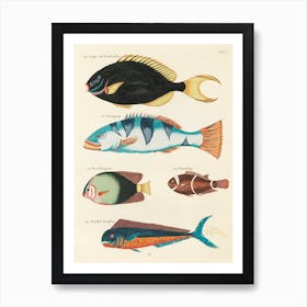 Colourful And Surreal Illustrations Of Fishes Found In Moluccas (Indonesia) And The East Indies, Louis Renard(22) Art Print