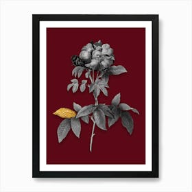 Vintage Provins Rose Black and White Gold Leaf Floral Art on Burgundy Red n.0333 Art Print