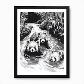 Red Panda Family Swimming Ink Illustration A River Ink Illustration 2 Poster