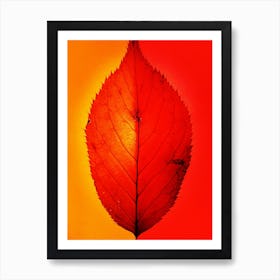 Autumn Leaf Art Print