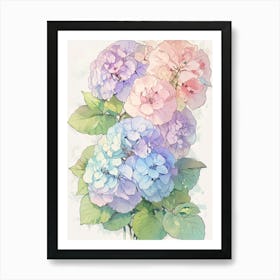 Hydrangeas 2 Art Print