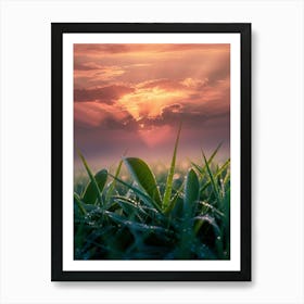 Sunrise Over Green Grass Art Print