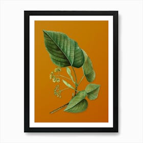 Vintage Linden Tree Branch Botanical on Sunset Orange n.0573 Art Print