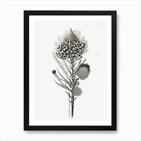 Silver Torch Joshua Tree Gold And Black (7) Art Print