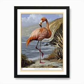 Greater Flamingo Southern Europe Spain Tropical Illustration 2 Poster Art Print