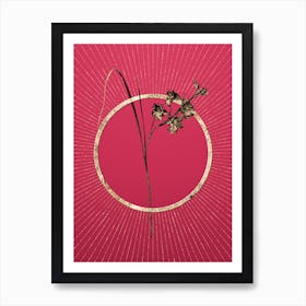 Gold Gladiolus Ringens Glitter Ring Botanical Art on Viva Magenta n.0016 Art Print