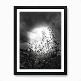 Black And White 1 Art Print