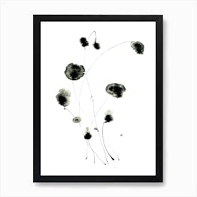 Seed Heads Art Print