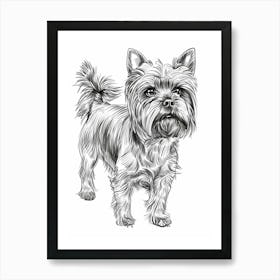 Yorkshire Terrier Dog Line Sketch 2 Art Print