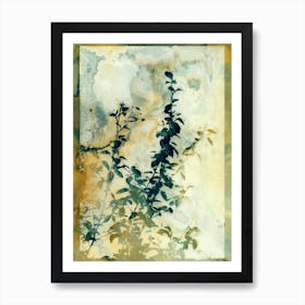 Shadows And Traces Art Print