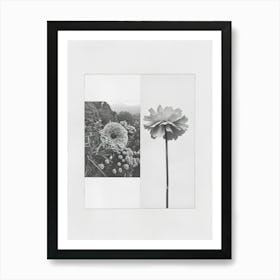 Marigold Flower Photo Collage 4 Art Print