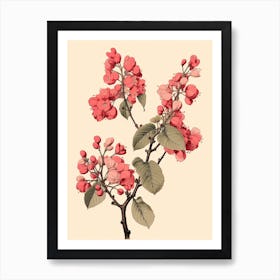 Yama Zakura Mountain Cherry 1 Vintage Japanese Botanical Art Print