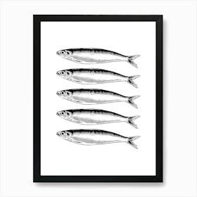 Sardines Isolated On White Art Print