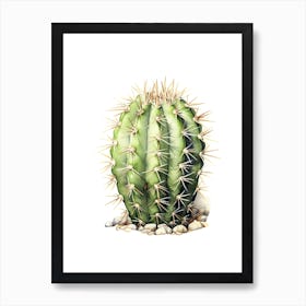 Ferocactus Cactus Watercolour Drawing 4 Art Print