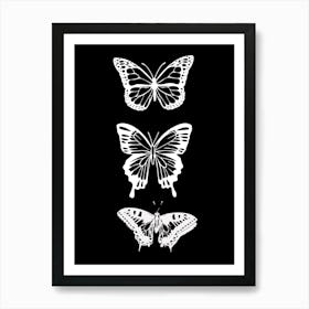 Three Butterflies On A Black Background Art Print