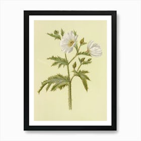 White Flowers On A Green Background Art Print